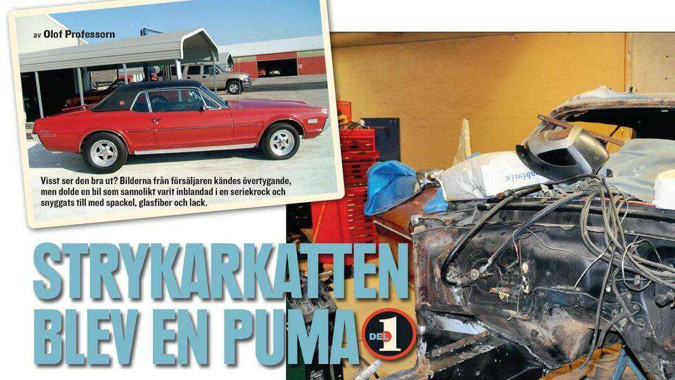 Projekt: Strykarkatten blev en puma, del 1