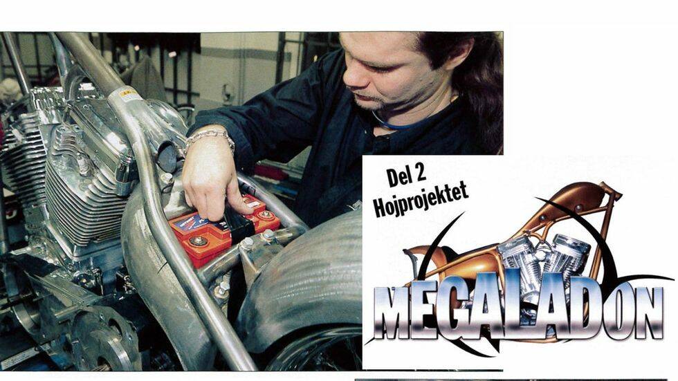 Del 2, Hojprojektet Megaladon