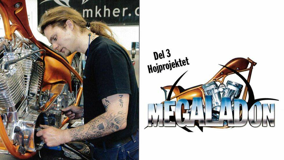 Del 3, Hojprojektet Megaladon