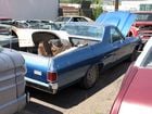 El Camino Verde, den första delen